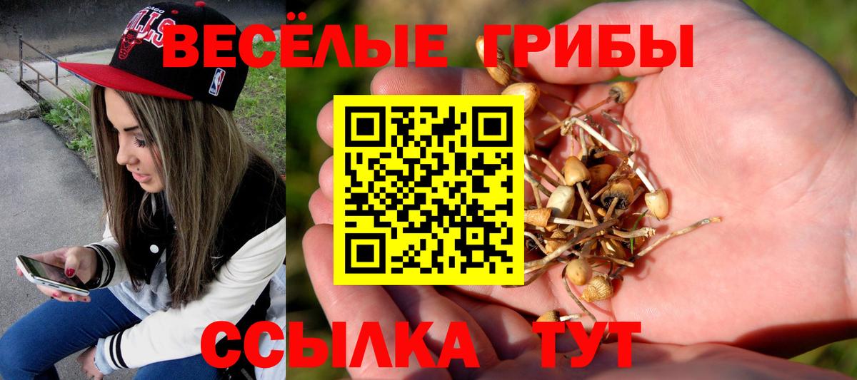 Псилоцибиновые грибы прущие грибы  где купить   Биробиджан  Вход с VPN 